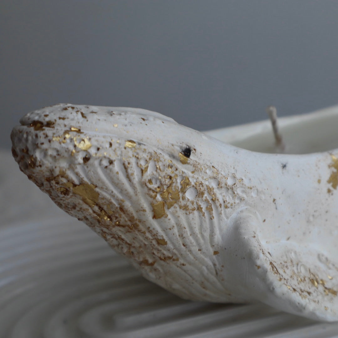 Vela aromática “Ballena”