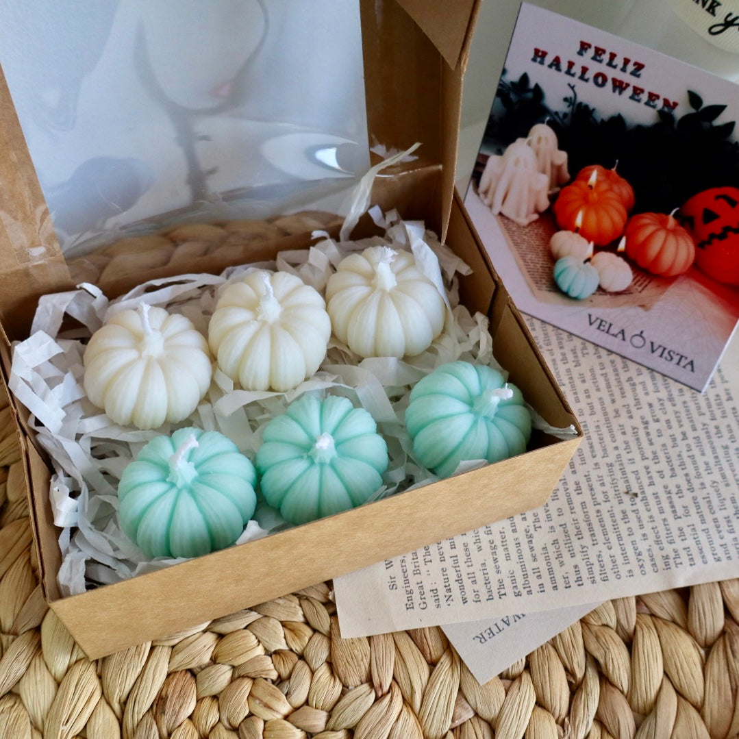 Kit “Calabacitas”