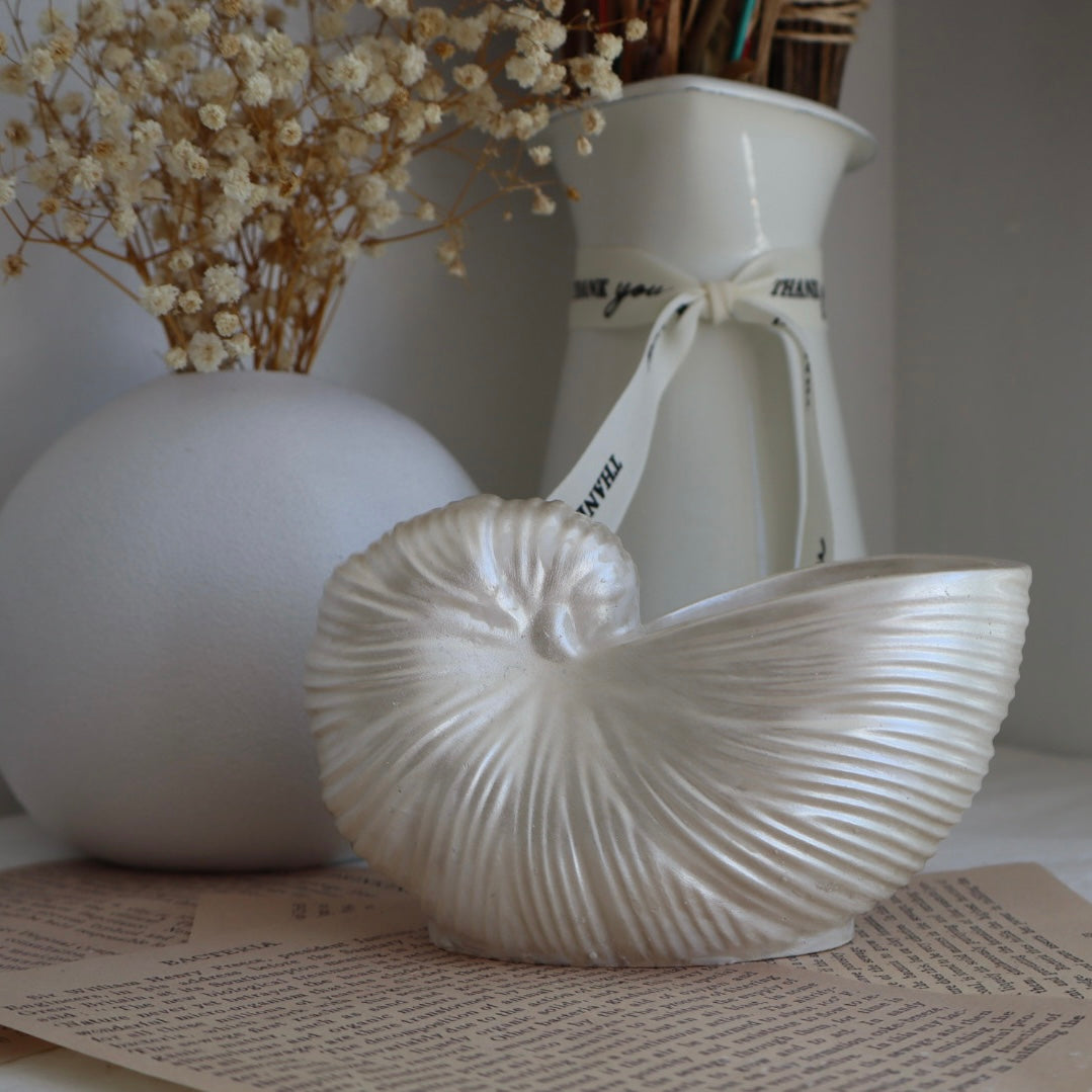 Joyero “Shell C”