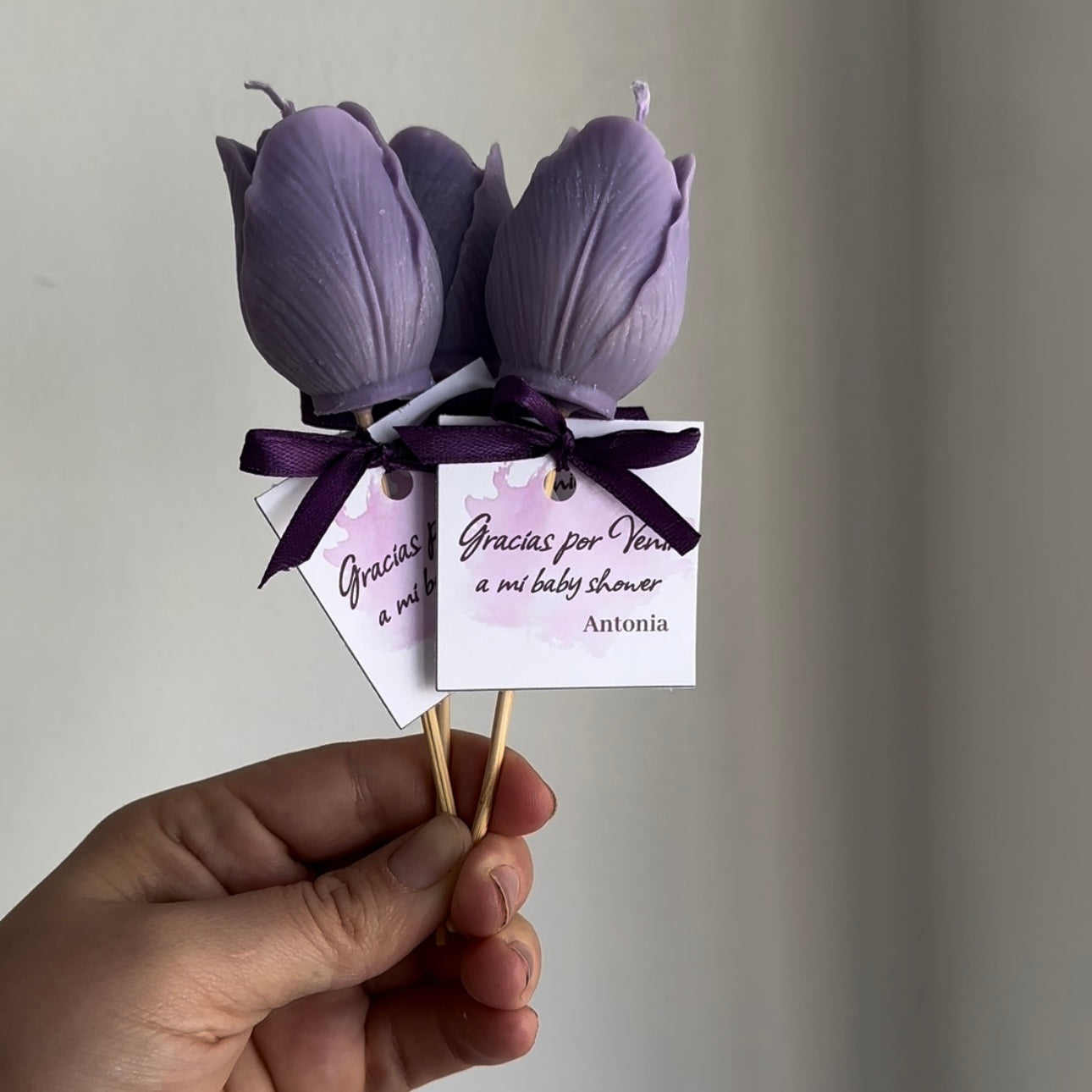 Mini ramitas “Tulipanes”