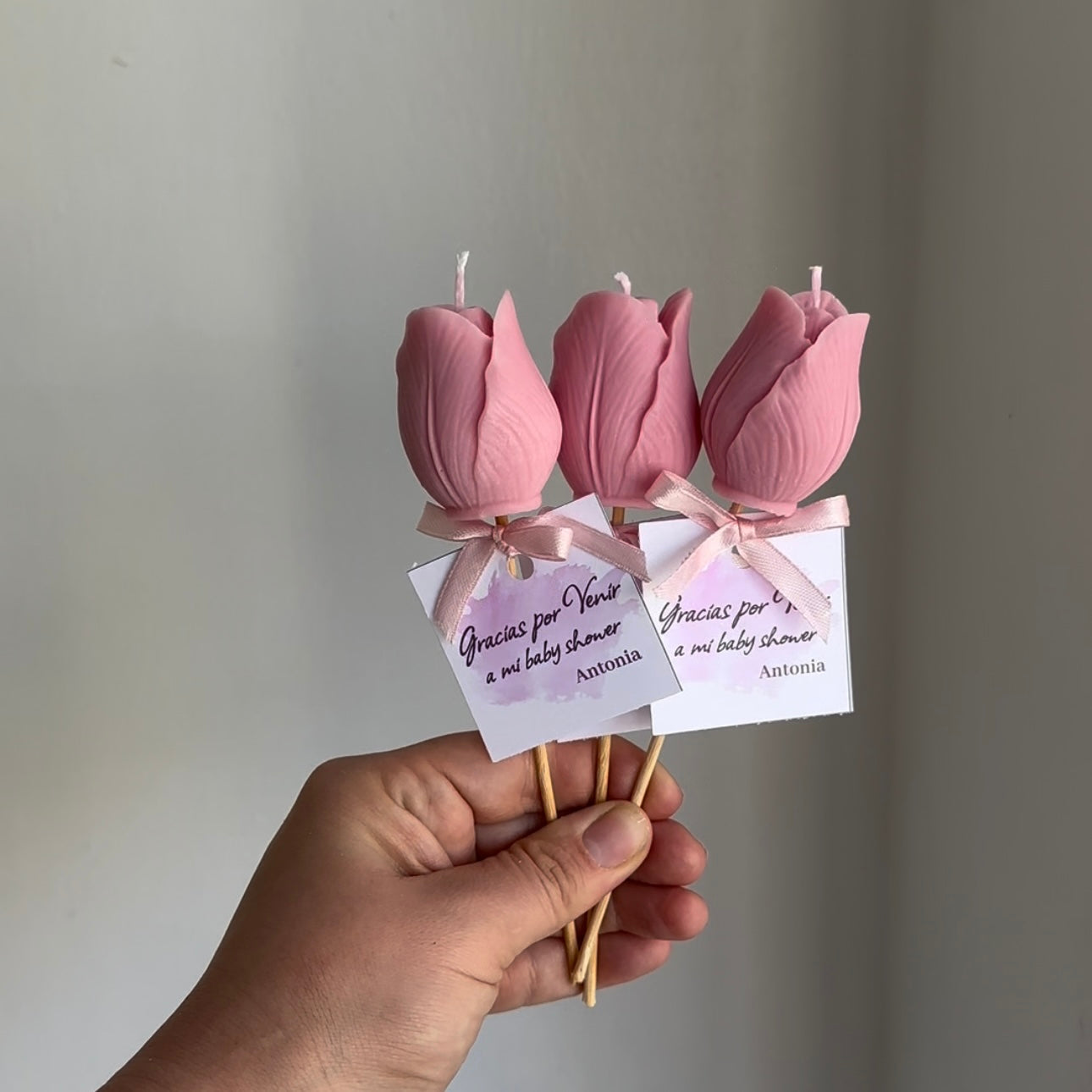 Mini ramitas “Tulipanes”