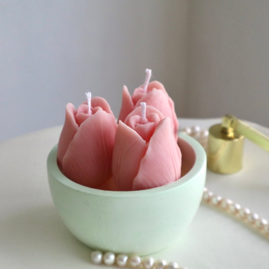 Tulipanes de Ensueño