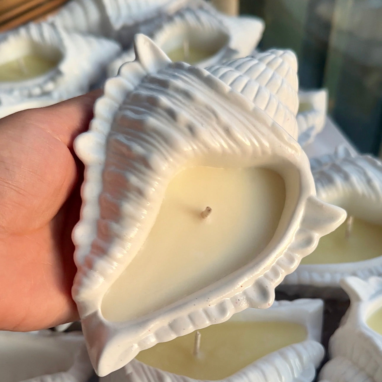 Vela aromática “Concha ”