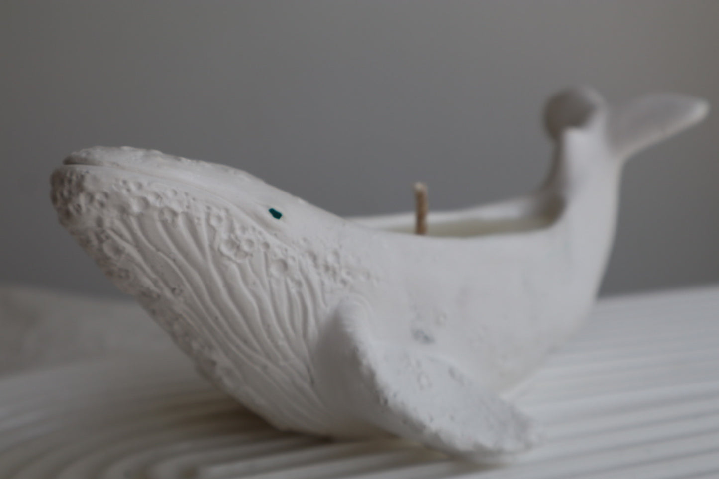 Vela aromática “Ballena”