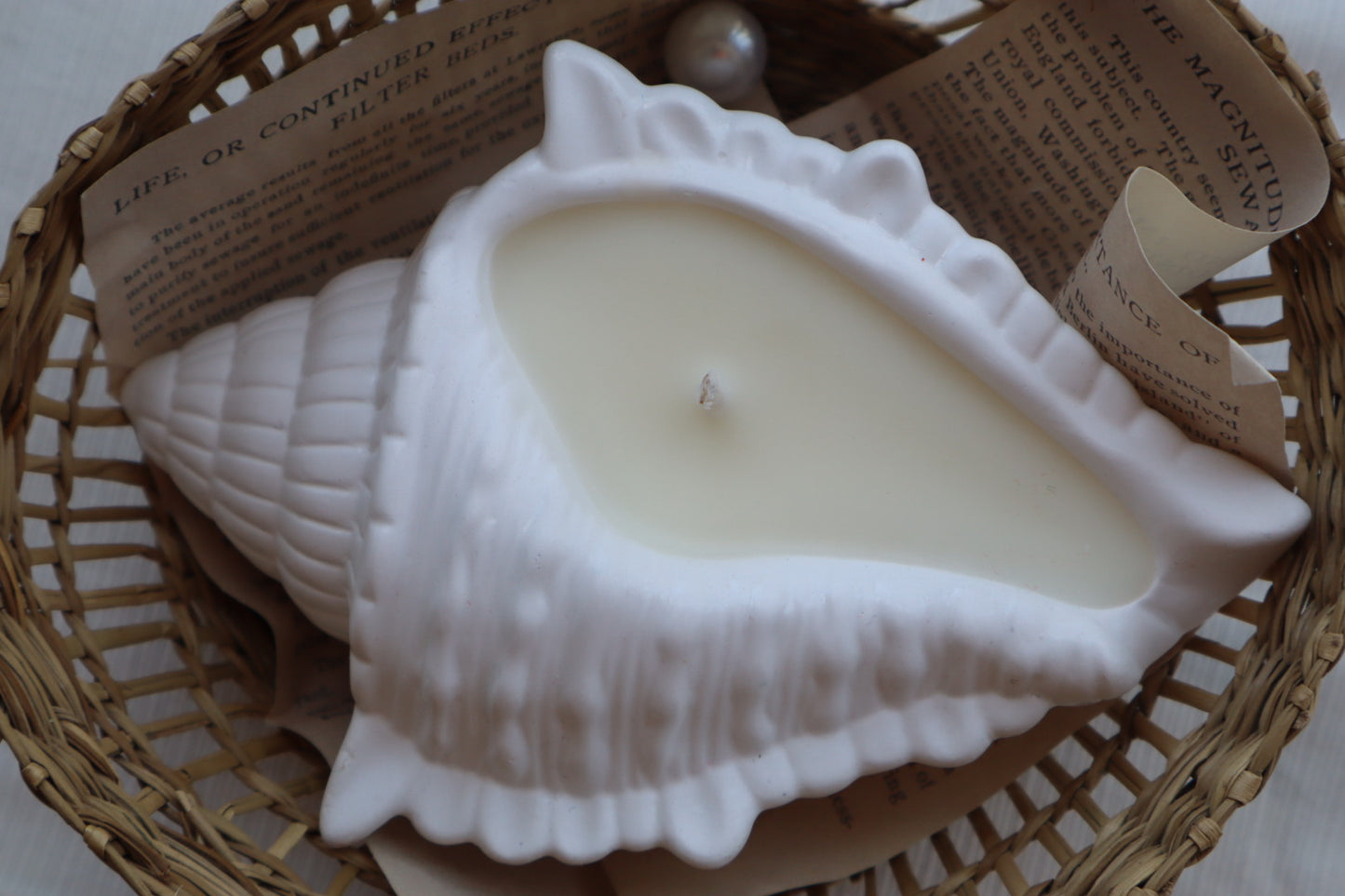 Vela aromática “Concha ”