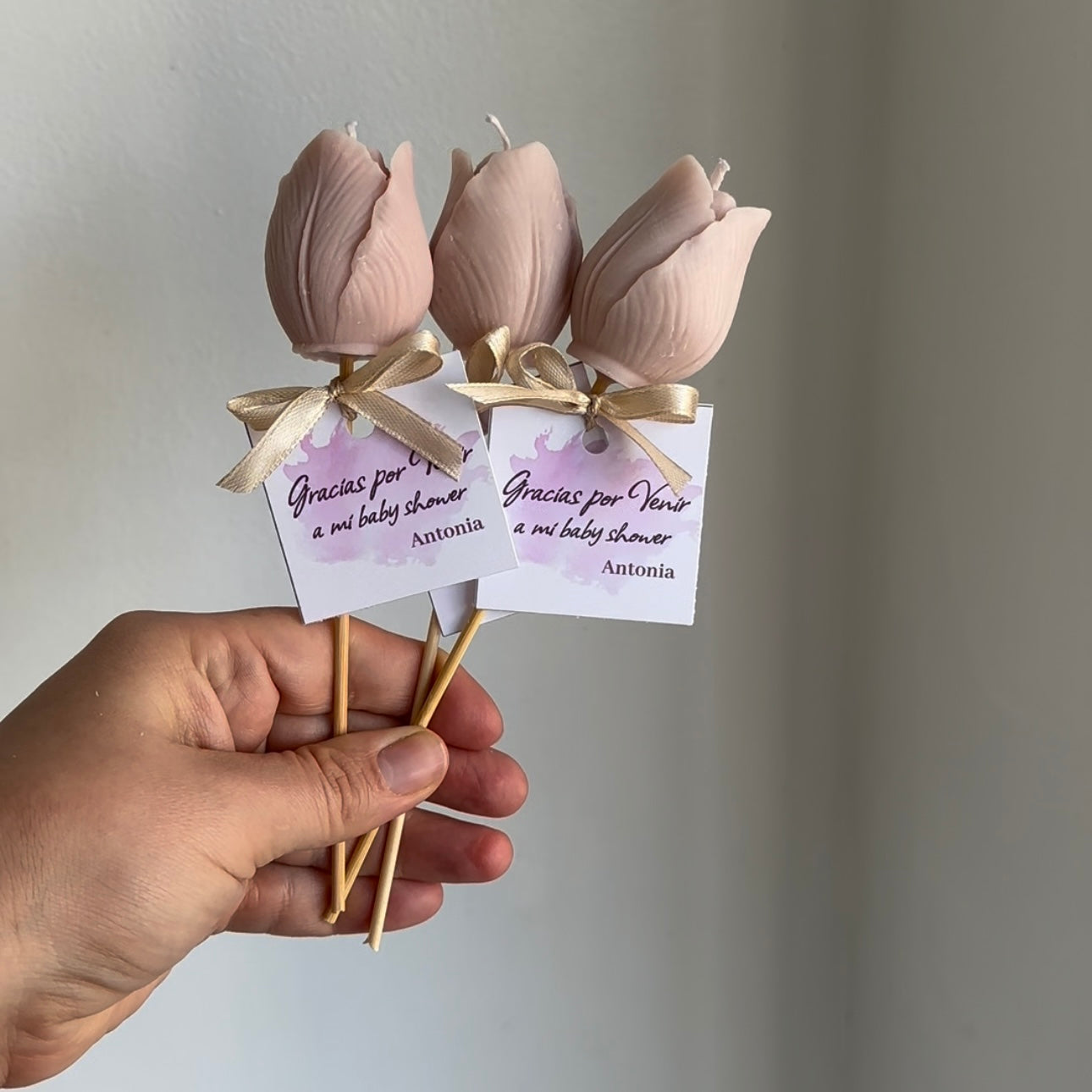 Mini ramitas “Tulipanes”
