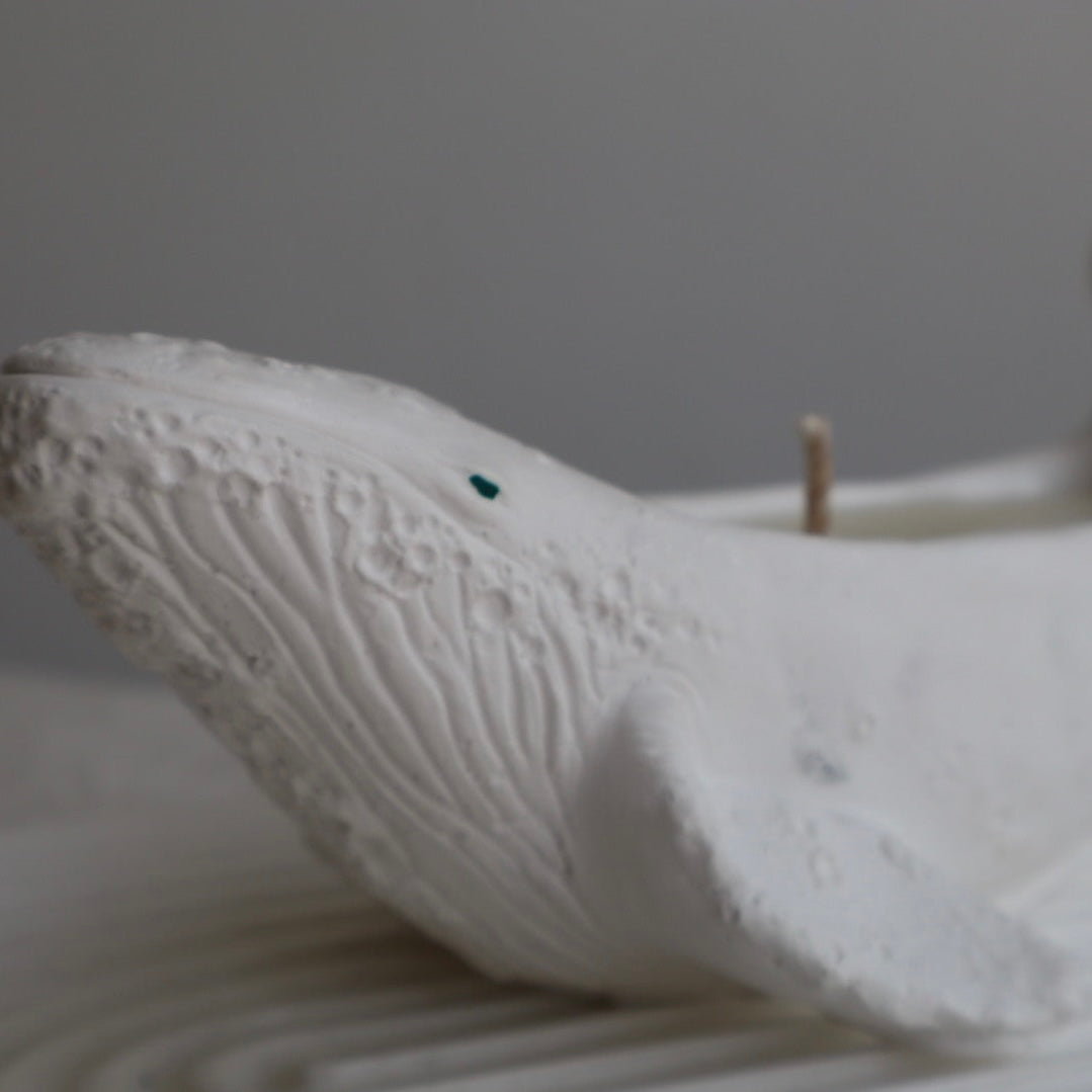Vela aromática “Ballena”